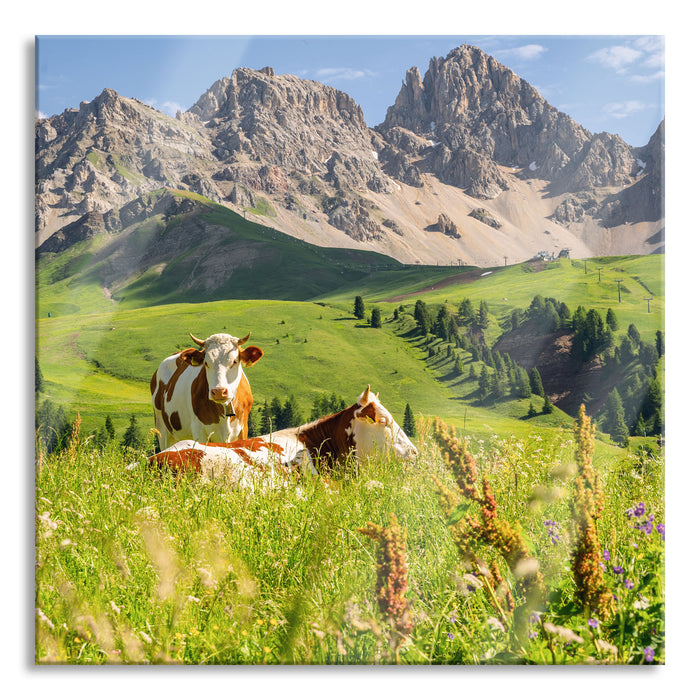 Alpenszene mit Kühen auf grüner Wiese, Glasbild Quadratisch