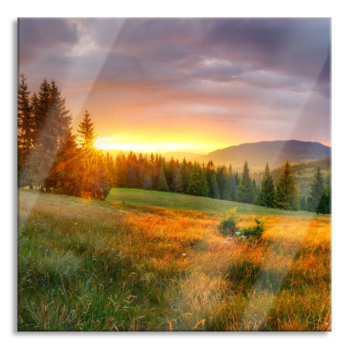 Pixxprint Wiesenlandschaft bei Sonnenuntergang, Glasbild Quadratisch