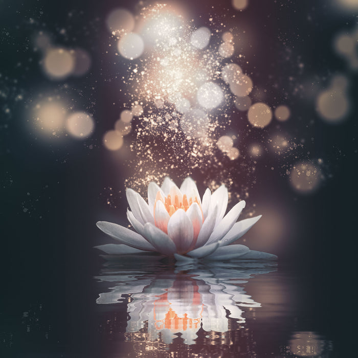Magische Lotusblüte mit Glitzerstaub, Glasbild Quadratisch