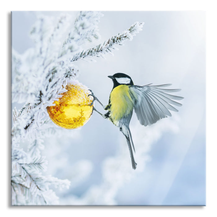 Kohlmeise an goldener Kugel in Winterwald, Glasbild Quadratisch