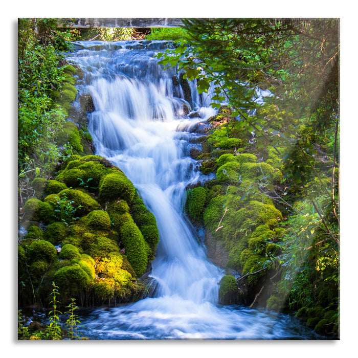 Pixxprint Wasserfall im grünen Wald, Glasbild Quadratisch