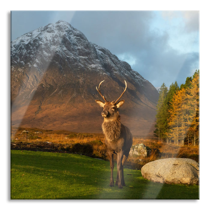 Pixxprint Einsames Rentier vor Berglandschaft, Glasbild Quadratisch