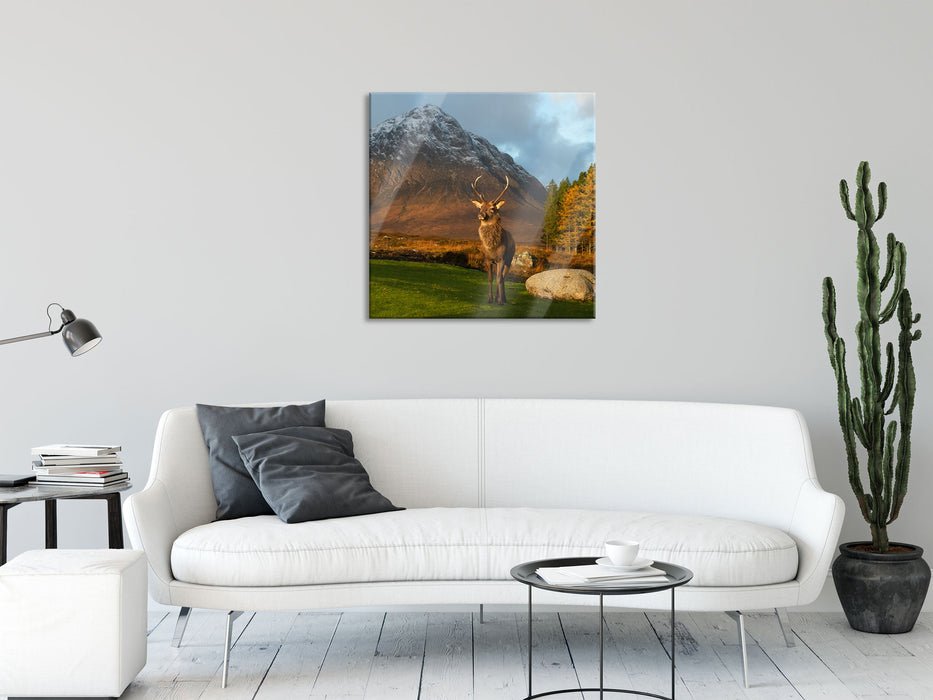 Einsames Rentier vor Berglandschaft, Glasbild Quadratisch