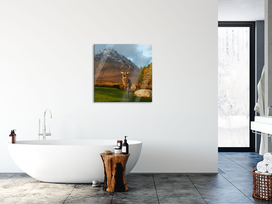 Einsames Rentier vor Berglandschaft, Glasbild Quadratisch