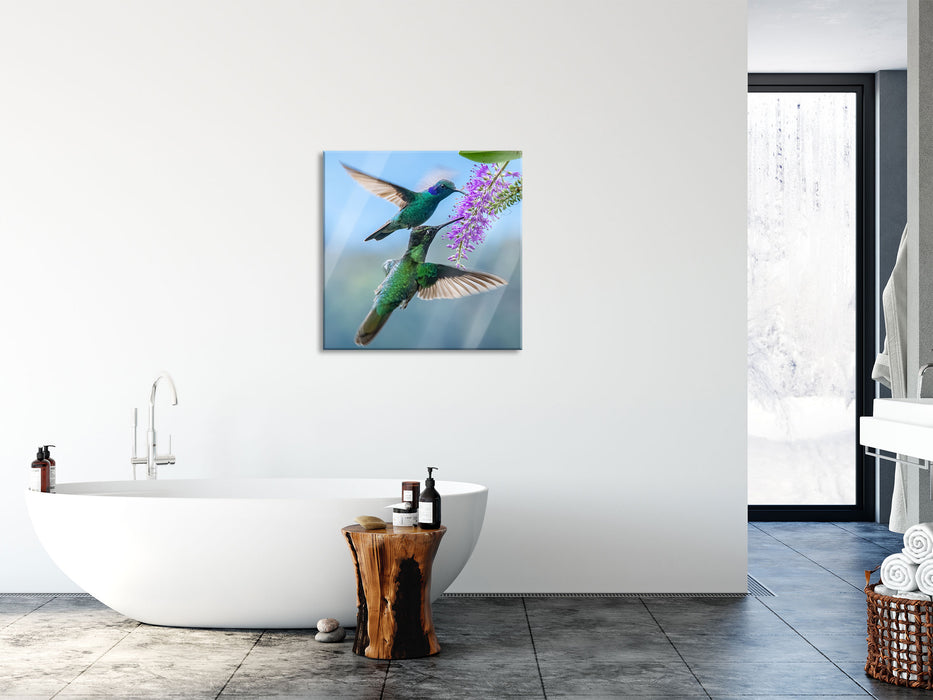 Zwei grüne Kolibris an lila Blume, Glasbild Quadratisch