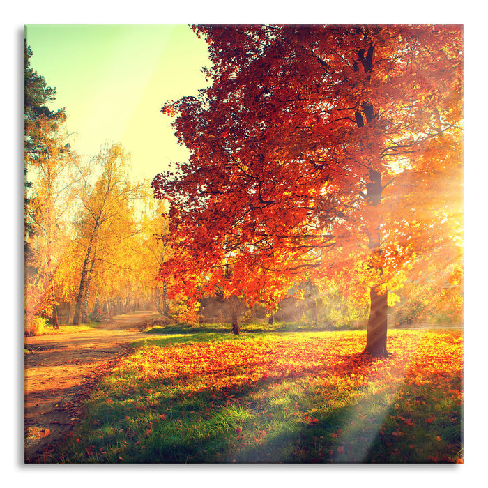 Pixxprint Weg durch bunten Herbstwald, Glasbild Quadratisch