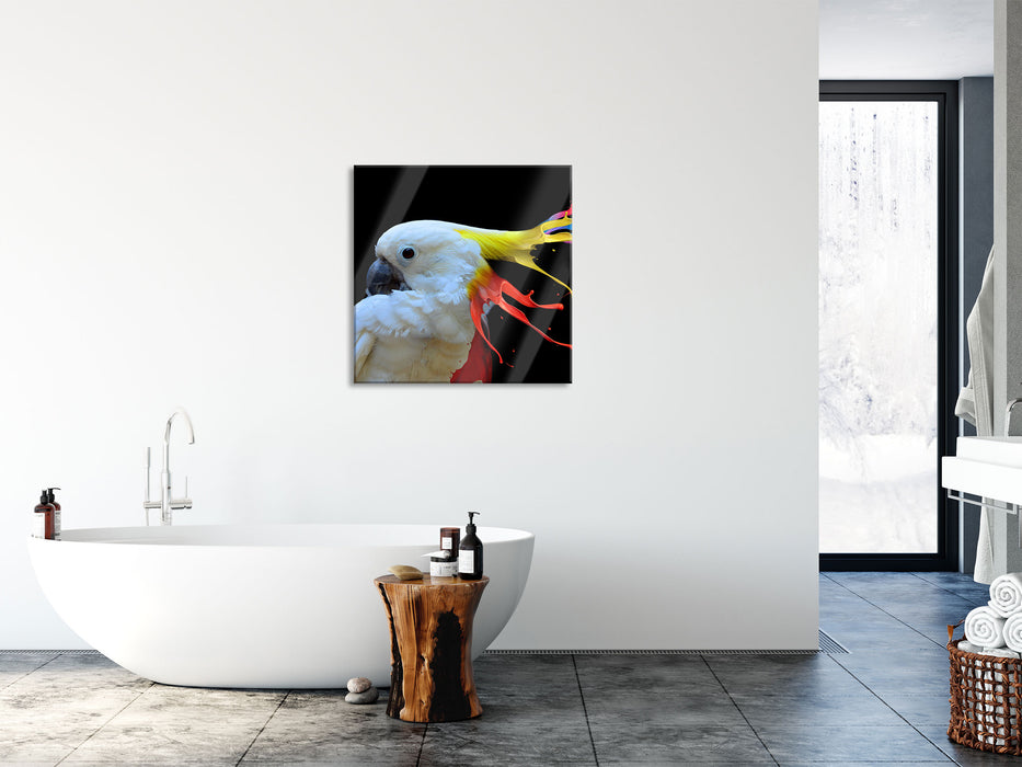 Papagei mit buntem Kamm, Glasbild Quadratisch