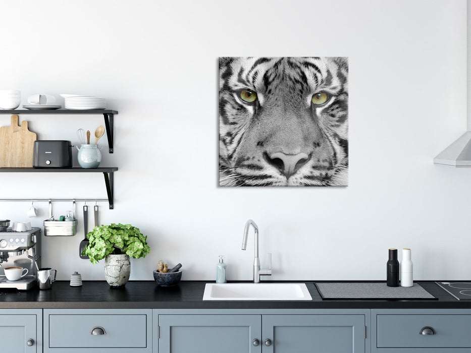 Nahaufnahme Sumatra Tiger B&W Detail, Glasbild Quadratisch