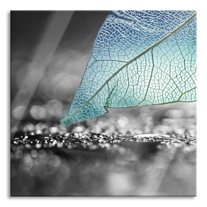 Nahaufnahme weißes Blattgerüst im Regen B&W Detail, Glasbild Quadratisch