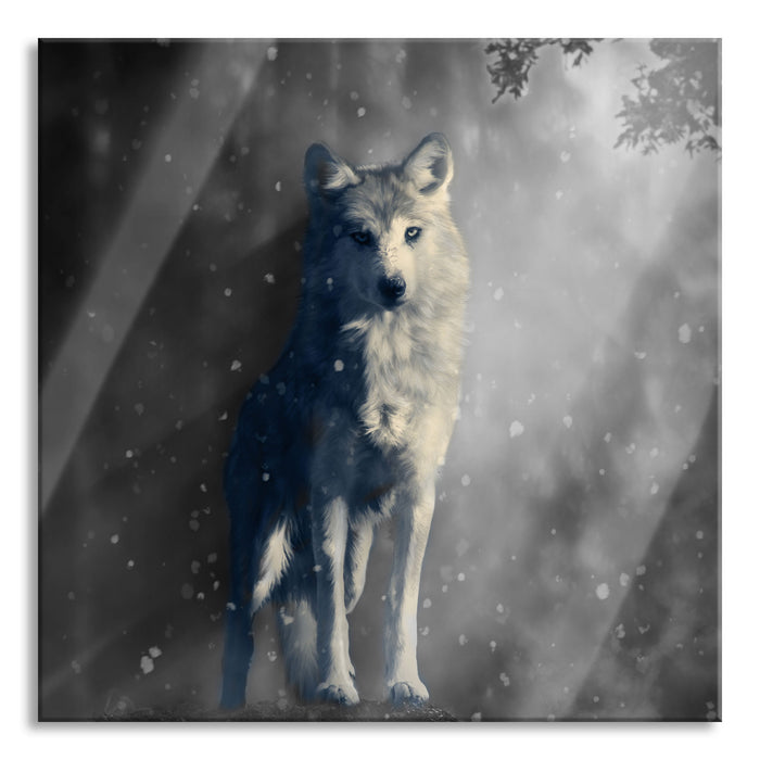 Fantasievoller weißer Wolf auf Lichtung B&W Detail, Glasbild Quadratisch
