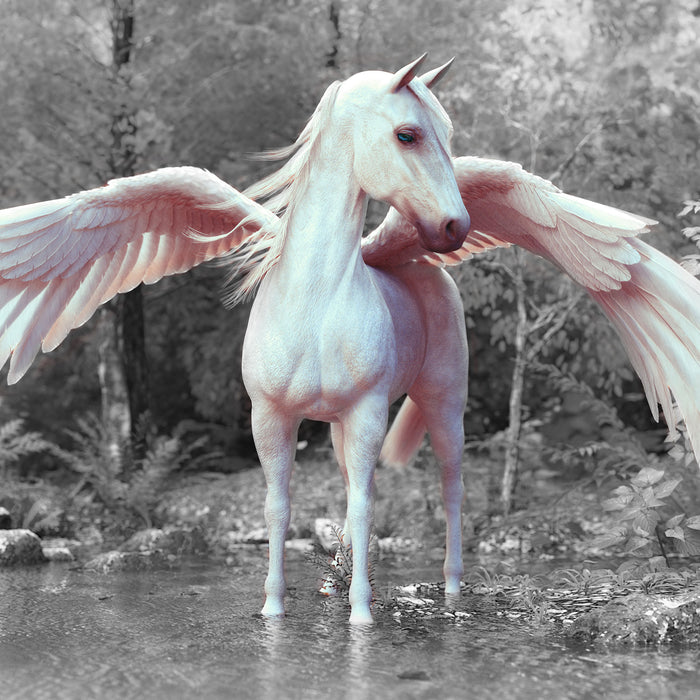 Pegasus im Fluss eines Herbstwaldes B&W Detail, Glasbild Quadratisch