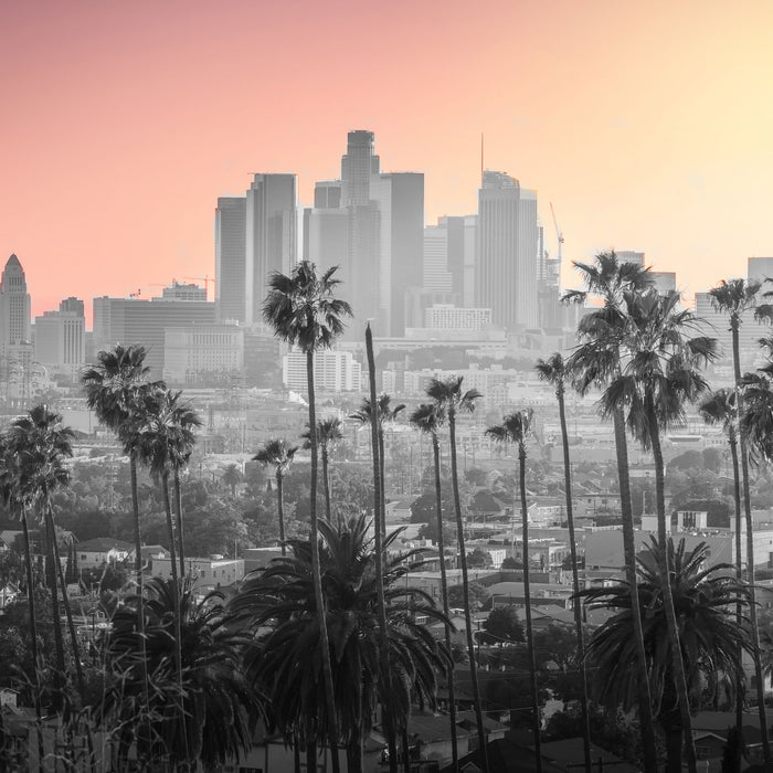 Palmen vor Skyline von Los Angeles B&W Detail, Glasbild Quadratisch