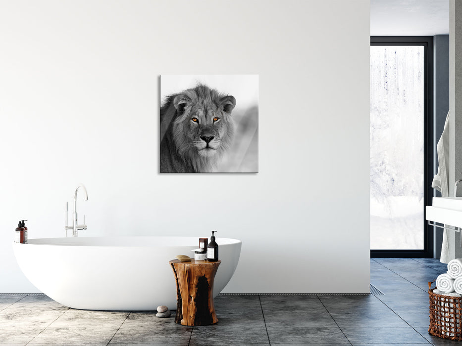 Poträt eines Löwen in der Savanne B&W Detail, Glasbild Quadratisch