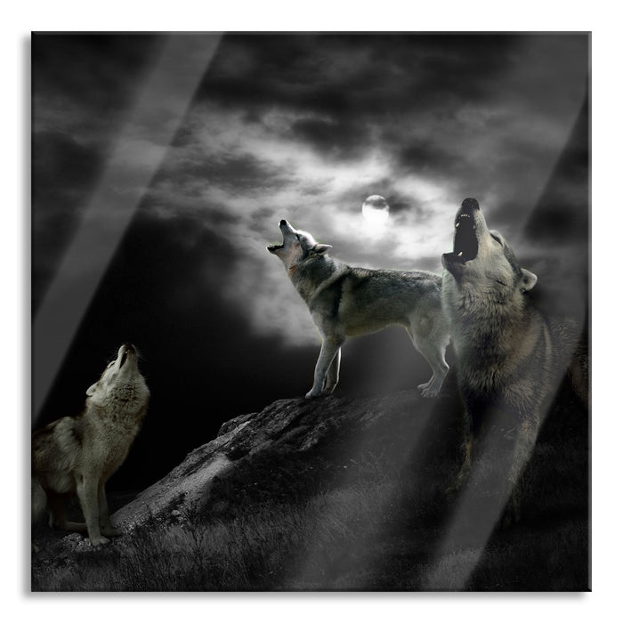 Heulende Wölfe bei Mondschein B&W Detail, Glasbild Quadratisch