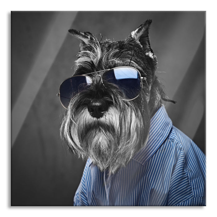 Lustiger Hund mit Hemd und Sonnenbrille B&W Detail, Glasbild Quadratisch