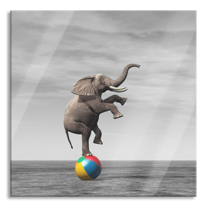Elefant in der Wüste balanciert auf Ball B&W Detail, Glasbild Quadratisch