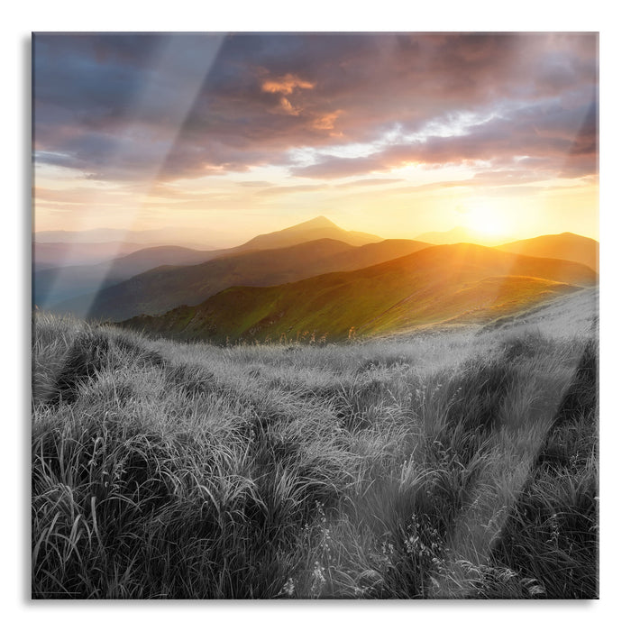 Sommerliche Bergwiese Sonnenuntergang B&W Detail, Glasbild Quadratisch