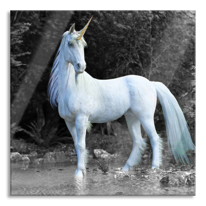 Pixxprint Majestätisches Einhorn in Waldsee B&W Detail, Glasbild Quadratisch