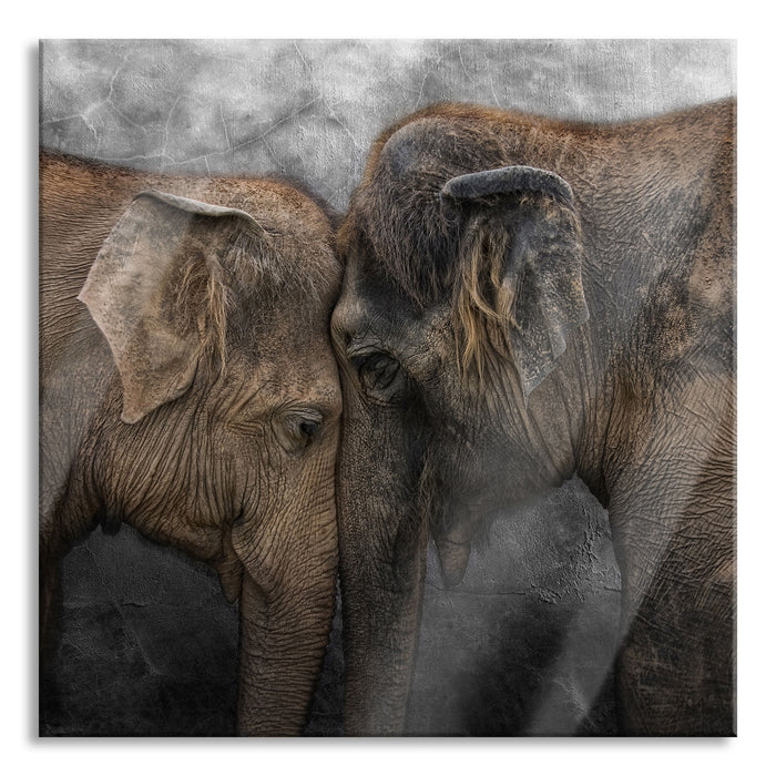 Schmusendes altes Elefantenpaar B&W Detail, Glasbild Quadratisch