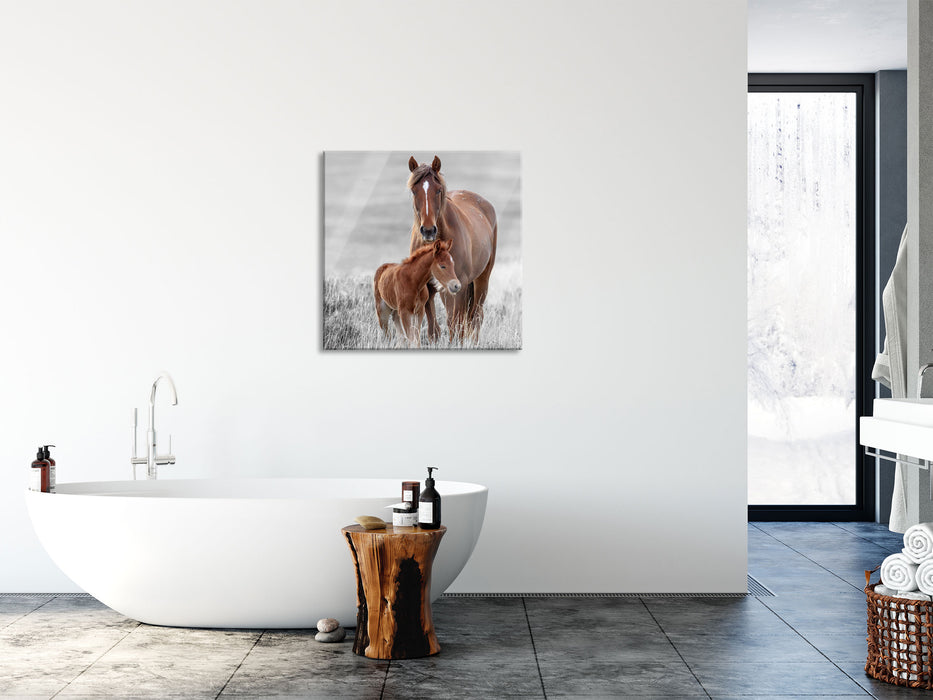 Pferdemutter mit Fohlen auf Wiese B&W Detail, Glasbild Quadratisch
