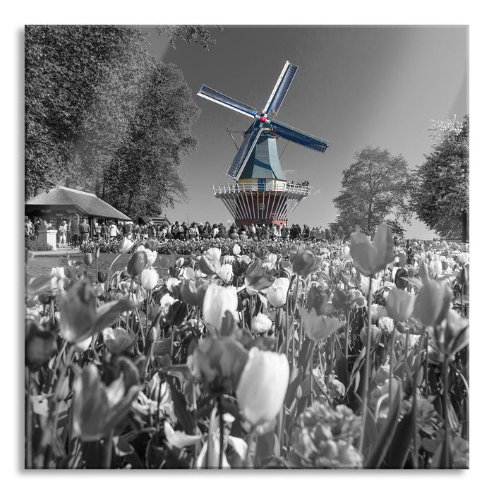 Holländisches Tulpenmeer vor Windmühle B&W Detail, Glasbild Quadratisch