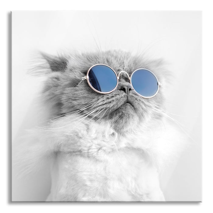 Pixxprint Coole Katze mit runder Sonnenbrille B&W Detail, Glasbild Quadratisch