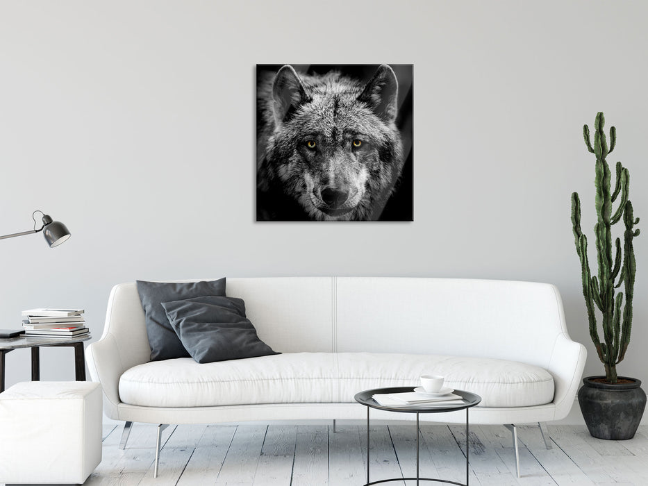 Nahaufnahme Wolf mit gelben Augen B&W Detail, Glasbild Quadratisch