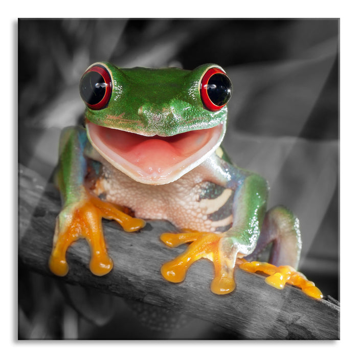 Pixxprint Lachender Frosch mit roten Augen auf Ast B&W Detail, Glasbild Quadratisch