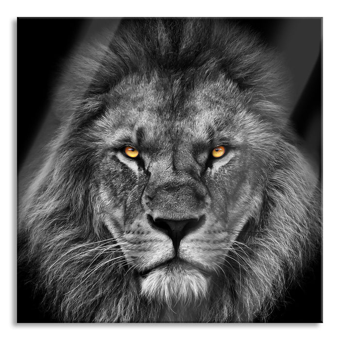 Pixxprint Mächtiger Löwe mit gelben Augen B&W Detail, Glasbild Quadratisch
