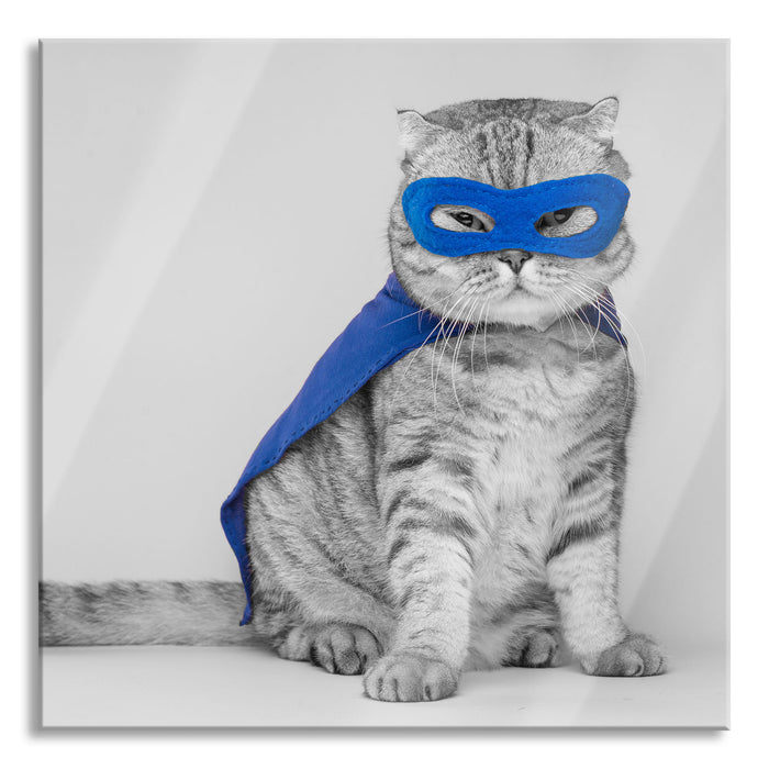 Pixxprint Süße Katze im Superheldenkostüm B&W Detail, Glasbild Quadratisch