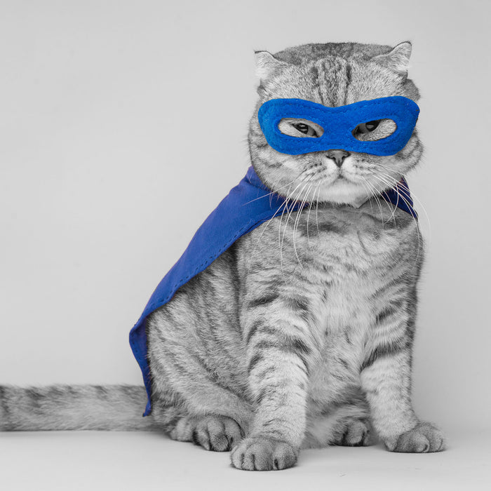 Süße Katze im Superheldenkostüm B&W Detail, Glasbild Quadratisch