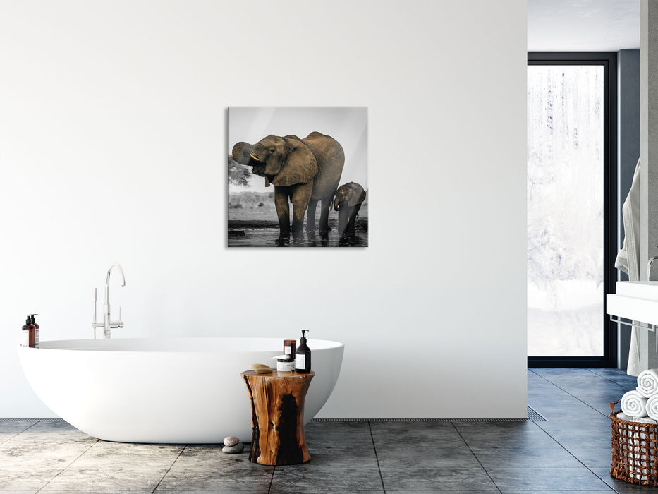 Elefantenkuh mit Jungem am Wasserloch B&W Detail, Glasbild Quadratisch
