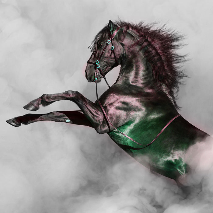 Schwarzes Pferd steigt im weißen Nebel B&W Detail, Glasbild Quadratisch