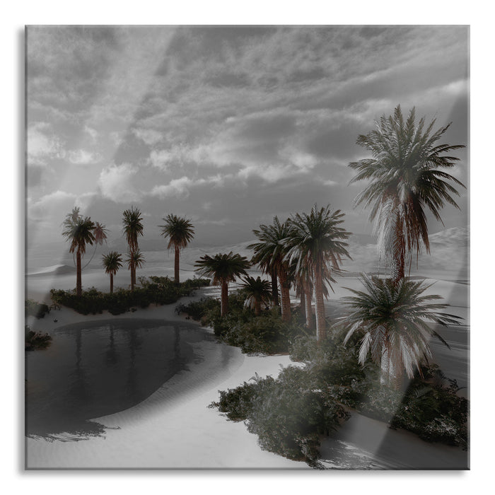 Pixxprint Oase in der Wüste bei Sonnenuntergang B&W Detail, Glasbild Quadratisch