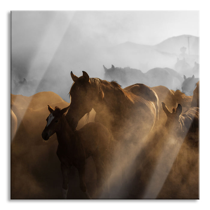 Pferdeherde im Staub bei Sonnenuntergang B&W Detail, Glasbild Quadratisch