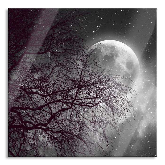 Pixxprint Winterbaum vor Vollmondnacht B&W Detail, Glasbild Quadratisch