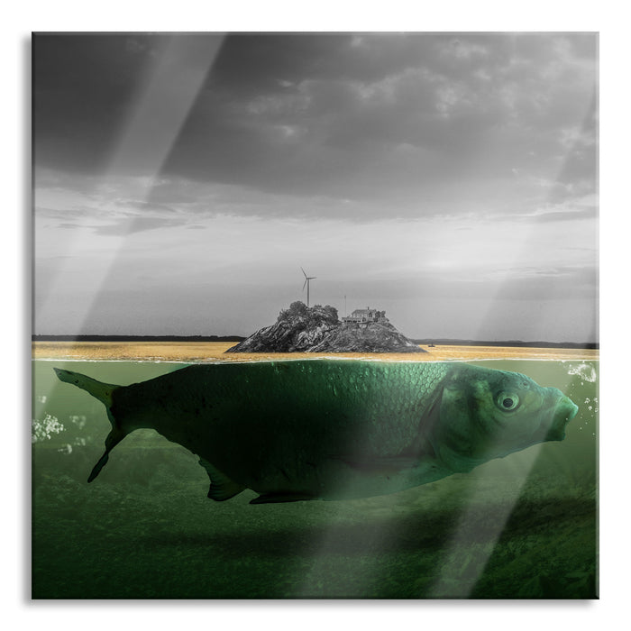 Pixxprint Abstrakter Fisch mit Felsrücken B&W Detail, Glasbild Quadratisch