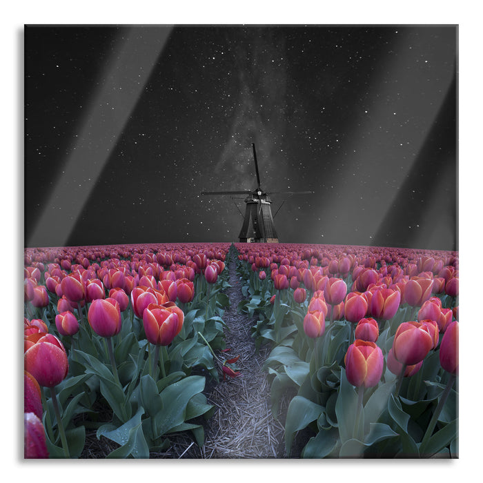 Pixxprint Tulpenfeld mit Windmühle bei Nacht B&W Detail, Glasbild Quadratisch
