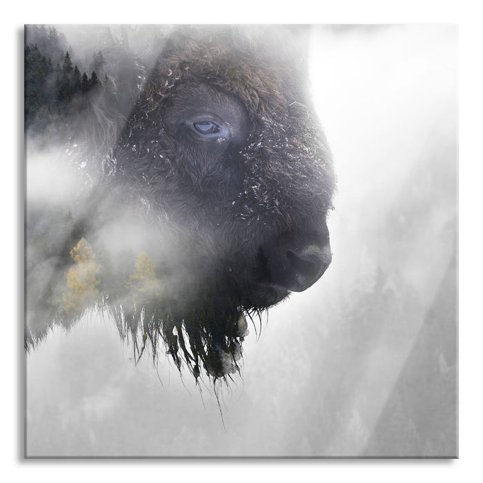 Pixxprint Wildes Bison in nebeligem Wald B&W Detail, Glasbild Quadratisch