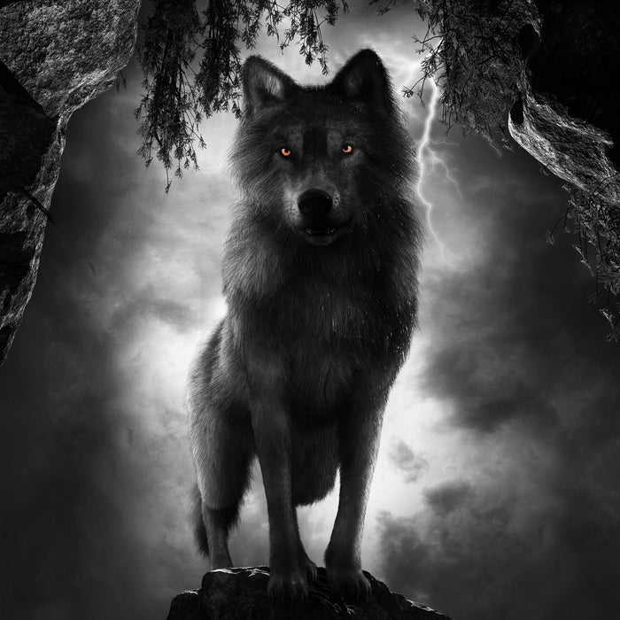 Böser Wolf bei Gewitter im Höhleneingang B&W Detail, Glasbild Quadratisch