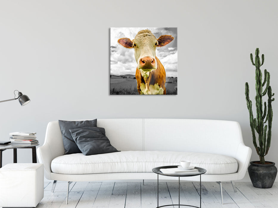 Nahaufnahme Kuh auf grüner Weide B&W Detail, Glasbild Quadratisch