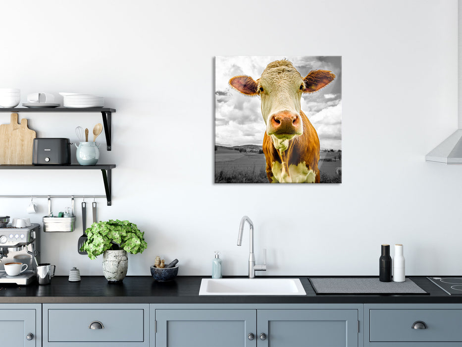 Nahaufnahme Kuh auf grüner Weide B&W Detail, Glasbild Quadratisch