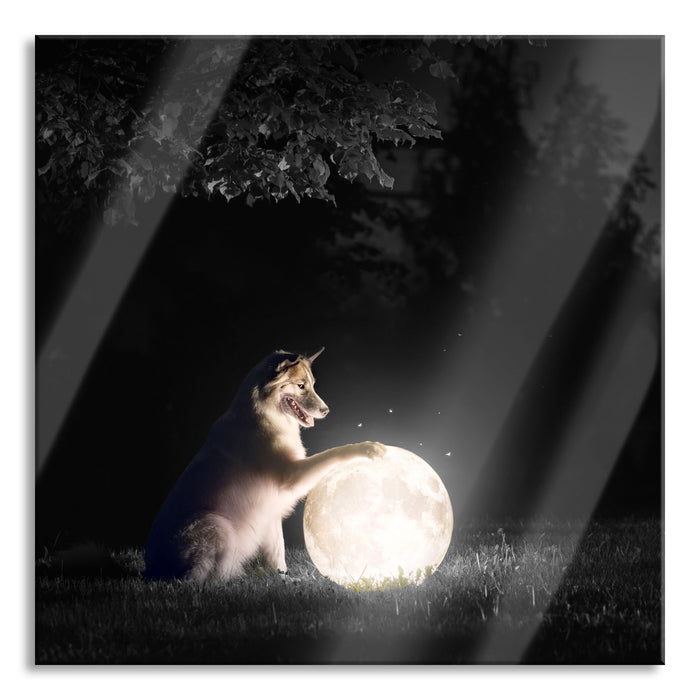 Hund mit leuchtendem Mond bei Nacht B&W Detail, Glasbild Quadratisch