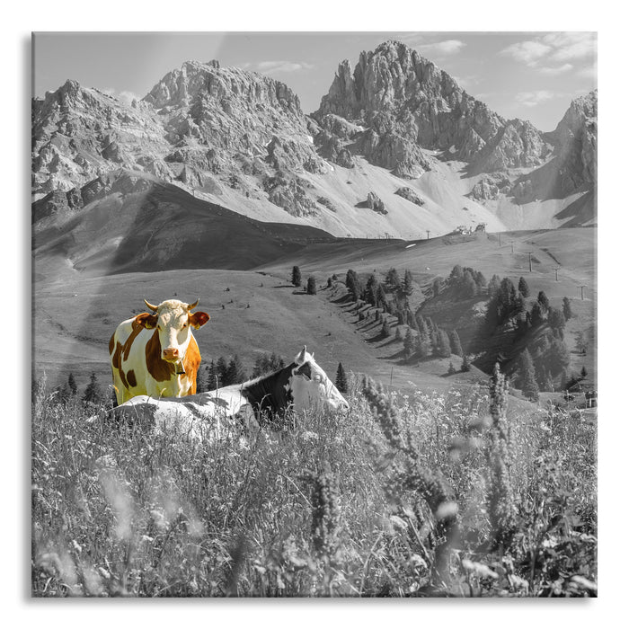 Pixxprint Alpenszene mit Kühen auf grüner Wiese B&W Detail, Glasbild Quadratisch
