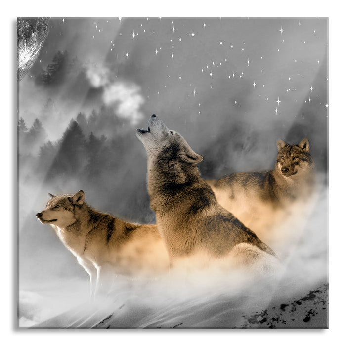 Wölfe in der Wüste heulen Vollmond an B&W Detail, Glasbild Quadratisch