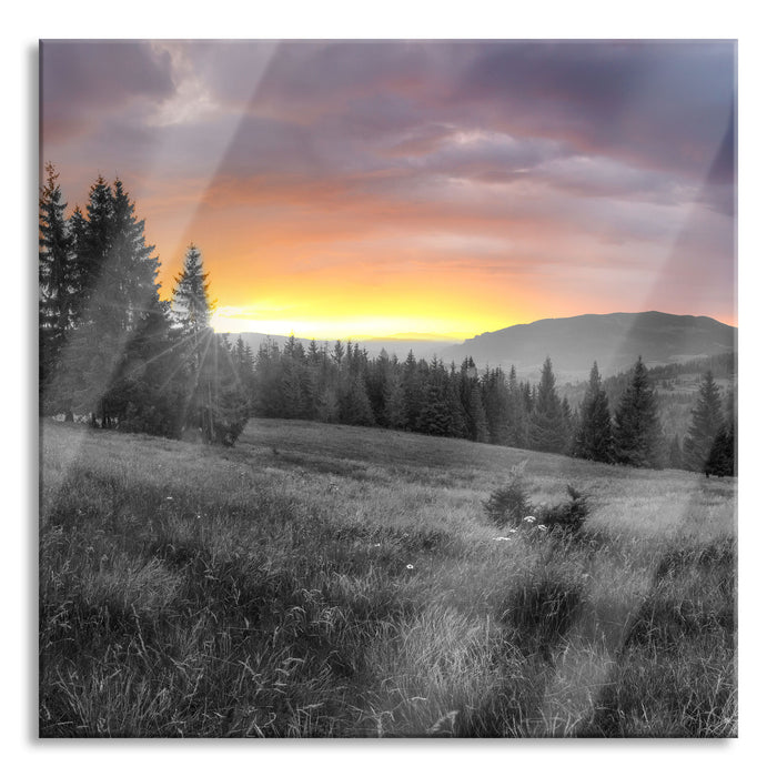 Pixxprint Wiesenlandschaft bei Sonnenuntergang B&W Detail, Glasbild Quadratisch