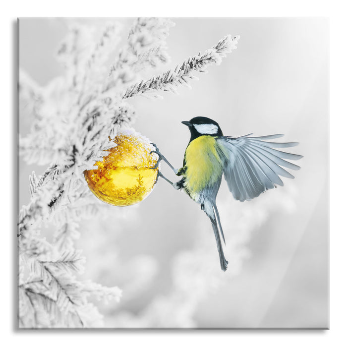 Pixxprint Kohlmeise an goldener Kugel in Winterwald B&W Detail, Glasbild Quadratisch