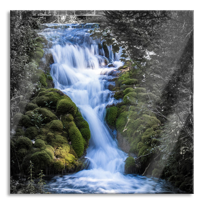 Wasserfall im grünen Wald B&W Detail, Glasbild Quadratisch