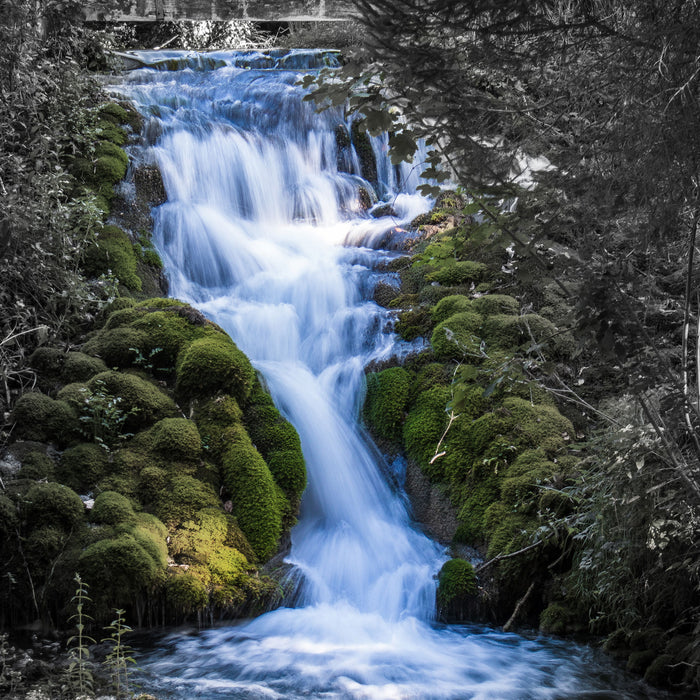 Wasserfall im grünen Wald B&W Detail, Glasbild Quadratisch