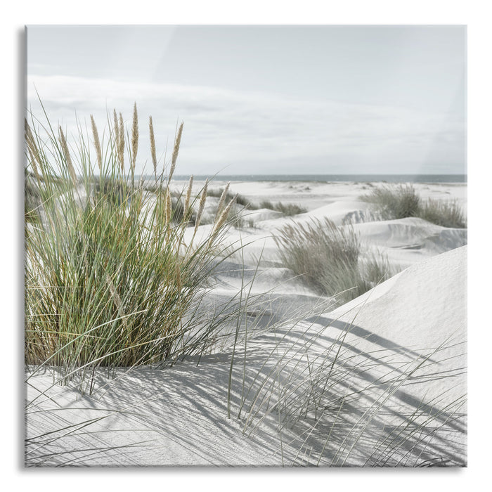 Pixxprint Grasige Dünenlandschaft am Meer B&W Detail, Glasbild Quadratisch